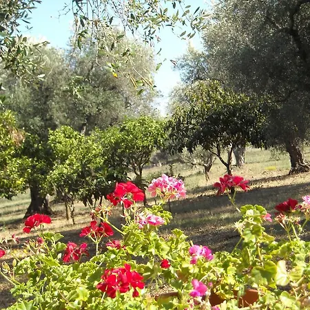 Tenuta Linazza Bed and Breakfast