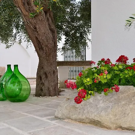 Bed and Breakfast Tenuta Linazza Αντράνο