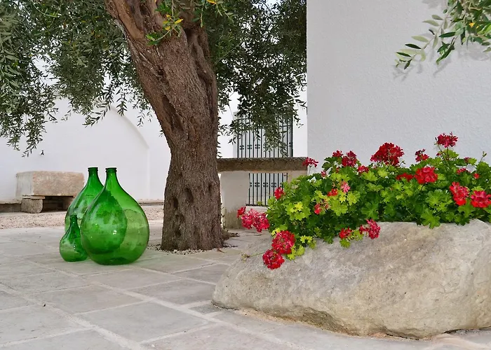 住宿加早餐酒店 Tenuta Linazza 安德拉诺