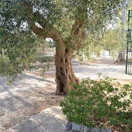 Bed & Breakfast Tenuta Linazza