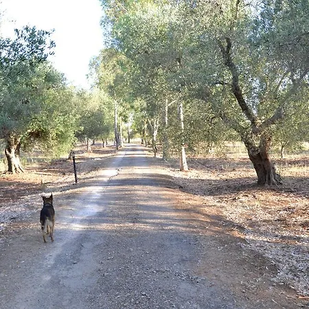 Bed & Breakfast Tenuta Linazza Andrano